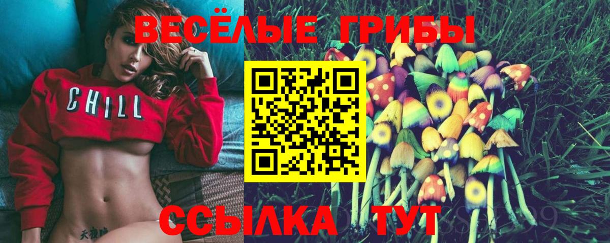 Галлюциногенные грибы Cubensis  Вход с VPN  Лабинск 