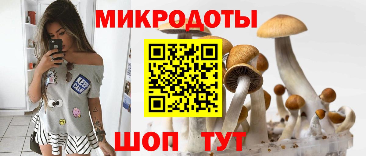 Псилоцибиновые грибы Psilocybine cubensis Лабинск